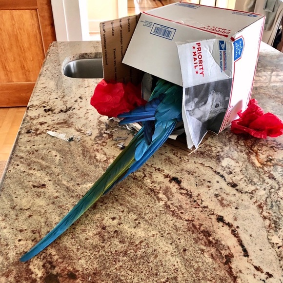 SALUTE Betty = my nickname Shopping = my Whiskey🤙 - Picture 16 of 17